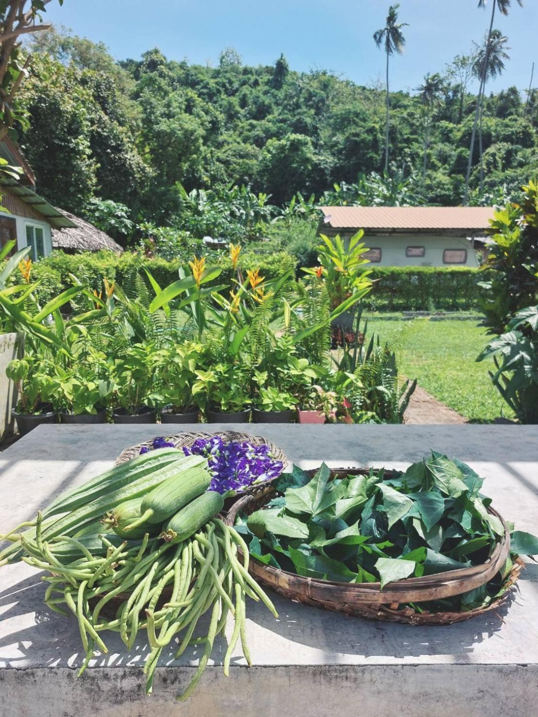 Samui Camping Farm Laem Sor Екстериор снимка